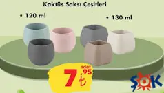 KAKTÜS SAKSI ÇEŞİTLERİ 120/130 ML KAKTÜS SAKSI ÇEŞİTLERİ 120/130 ML
